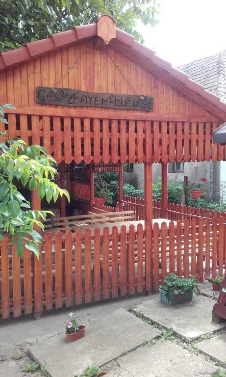 Gold Fayen House Cheile Turului Apartman Tordatúr Kültér fotó